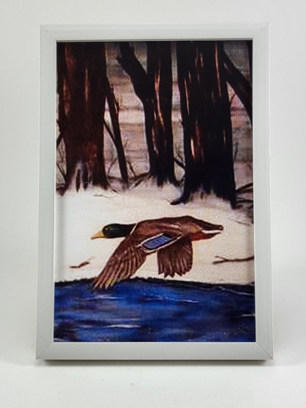 Framed "Majestic Mallard" Duck Art Print